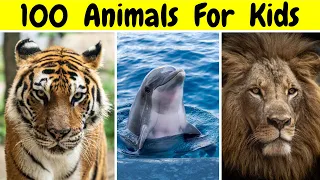 100 Animals for Kids, Toddlers to Learn | Nombres de los 100 ANIMALES EN INGLÉS | 100 जानवरों के नाम