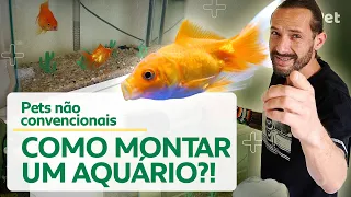 MONTANDO O SEU PRIMEIRO AQUÁRIO DE ÁGUA DOCE! | CANAL MAIS PET