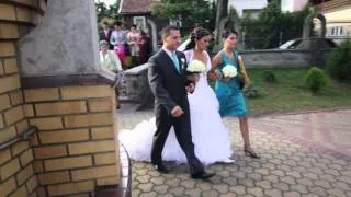 PLENER ŚLUBNY ,POLISH WEDDING