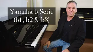 Yamaha b-Serie (b1, b2 & b3)