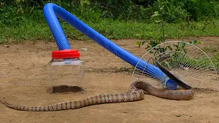 Creative Simple Snake Trap | Unique Deep Hole Underground Trap Make From Long Pipe & plastic Bottle