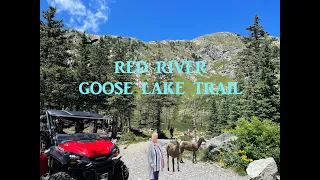 Red River, NM, SxS Trails, Goose Lake Trail, Honda Pioneer