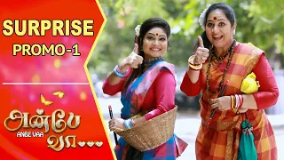 Anbe Vaa | Surprise Promo - 1 | Virat | Delna Davis | Saregama TV Shows Tamil