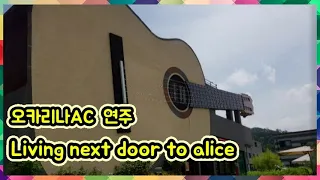 Living next door to alice(Smokie) - Ocarina AC key(연주&악보)