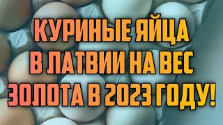 КУРИНЫЕ ЯЙЦА В ЛАТВИИ НА ВЕС ЗОЛОТА В 2023 ГОДУ! | КРИМИНАЛЬНАЯ ЛАТВИЯ