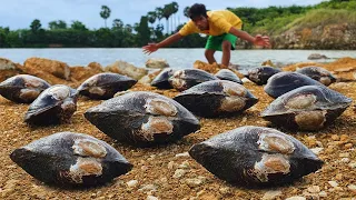 amazing fishing! Video a lots of clams crab in mud at rice field catch by best hand