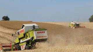 ✔ Wielkie żniwa rzepaczane 2022 na ✔ 2x CLAAS MEGA 208  & 2x John Deere Gr Wierzchowski.