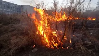 травка горит детишки мочат огонь в сартире