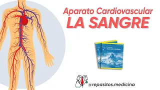 Aparato Cardiovascular | SANGRE | Cap. 19 (Tortora Derrickson)