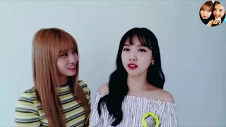 TWICE Momo and Nayeon complimenting each other (NAMO)