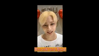 [세븐틴/준/에스쿱스/정한] 95라인 형아들과 준휘 생일 [feat. 세븐틴 맏형즈의 동생 생일 챙기기]