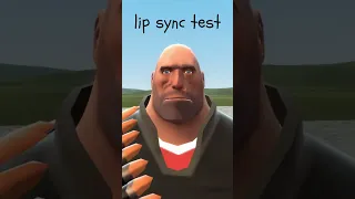 lip sync test