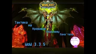 Тактика на Кровавую Королеву Лана'тель WoW 3.3.5