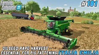Creating a Nutritious Feed Foundation for Pig Farming | Italian Farm | Farming simulator 22 | #101