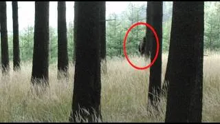 BIGFOOT SIGHTING - EXCLUSIVE IMAGE. PROOF OF SASQUATCH. OCTOBER 2012. 1080p HD