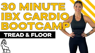 30 MIN IBX Bootcamp | Cardio Follow Along Workout!