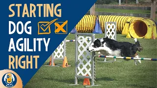 Dog Agility Training: 3 Big Mistakes All Dog Owners Should Avoid #114