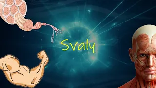 Biológia 7. ročník - Svaly