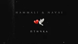 HammAli & Navai - Bird 1 hour