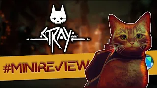 Mini Review・Stray | Game Reviews Under 3 Minutes!