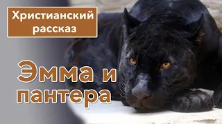 ⚫ Эмма и пантера - ИНТЕРЕСНЫЙ ХРИСТИАНСКИЙ РАССКАЗ | Христианские рассказы