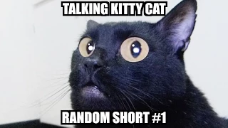 Talking Kitty - Random Short #1