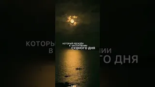 Всевышний Аллах говорит: «Хадис аль-Кудси» 🌙