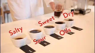 Extraction of Coffee Flavours | Dr Monika Fekete