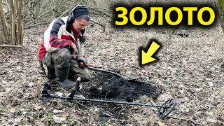GOLD was found in the forest. Search with a minelab equinox 900 metal detector in Ukraine