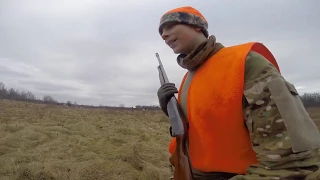 Pheasant Hunting Shooting 2016 Warren Ohio