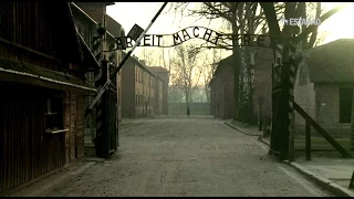 Sobreviventes de Auschwitz lutam contra a negação do Holocausto