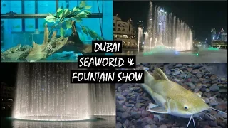 Dubai vlog (3)