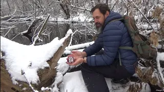 ГРИБИ зимові ФЛАМУЛІНА. Де шукати та як їх можна готувати.