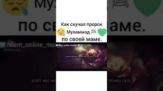 пророк Мухаммад (  с )  скучает своей маме