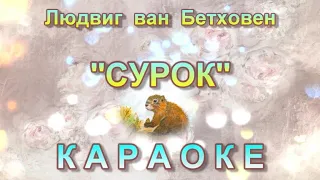 🎤СУРОК. КАРАОКЕ. Муз. Людвига ван Бетховена. Сл. И.В. Гёте.