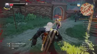 The Witcher 3: fighting in Death March mode