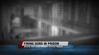 Prison homicide raises questions of guards' use of guns