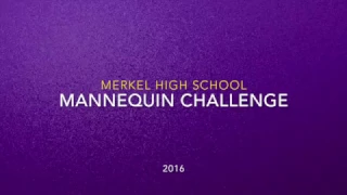 MHS Mannequin Challenge
