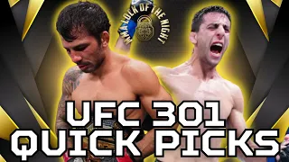 UFC 301 Quick Picks | Pantoja vs Erceg Predictions