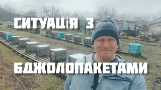 ✅Яким буде реальний попит на бджолопакети?