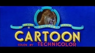 Tom & Jerry - Tot Watchers