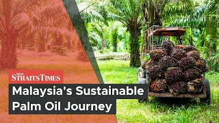 Malaysia's Sustainable Palm Oil Journey