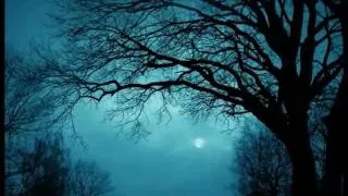 Love of a Tree - Tara Jaff  بۆ عشقی دارێک