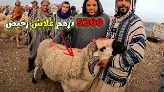 المرا حنتات رجالة فالبيع و الشرا فسوق الفقيه بن صالح مع ثمن الأغنام بتاريخ 20/03/2024