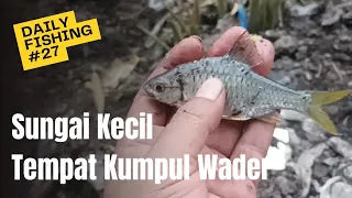 Sungai Kecil Tempat Berkumpulnya Wader , Daily Fishing #27