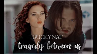 Winter Soldier + Black Widow | "tragedy between us"