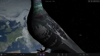 Pigeon Hitting France at the Speed of light