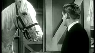 Mr Ed The Talking Horse Public Service Announcement