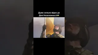 Сильне відео до Дня Незалежності України