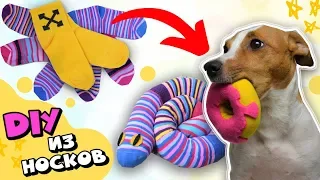 DIY / ИГРУШКИ ДЛЯ СОБАК ИЗ НОСКОВ 🧦